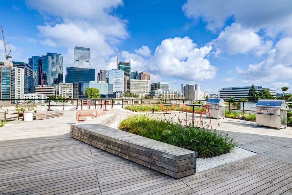 A wooden walkway leads to a grassy area with a city skyline in the background.